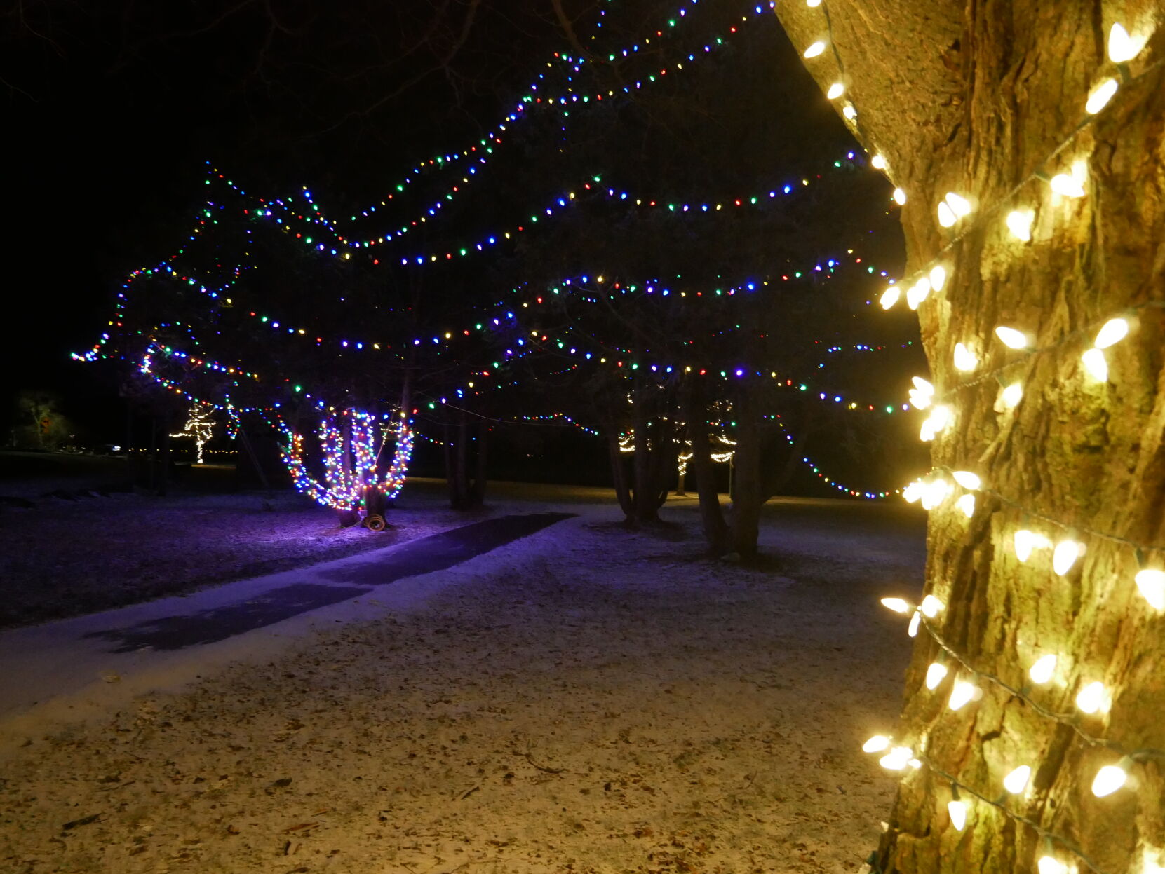Holiday Lights, St. Albans Bay Park, 12-20-2020